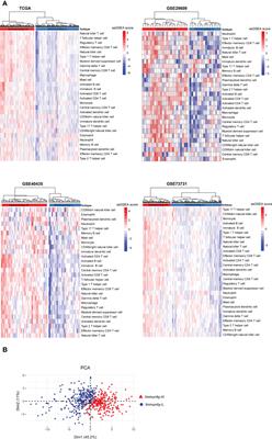 Gene set enrichment analysis identifies immune subtypes of kidney renal clear cell carcinoma with significantly different molecular and clinical properties